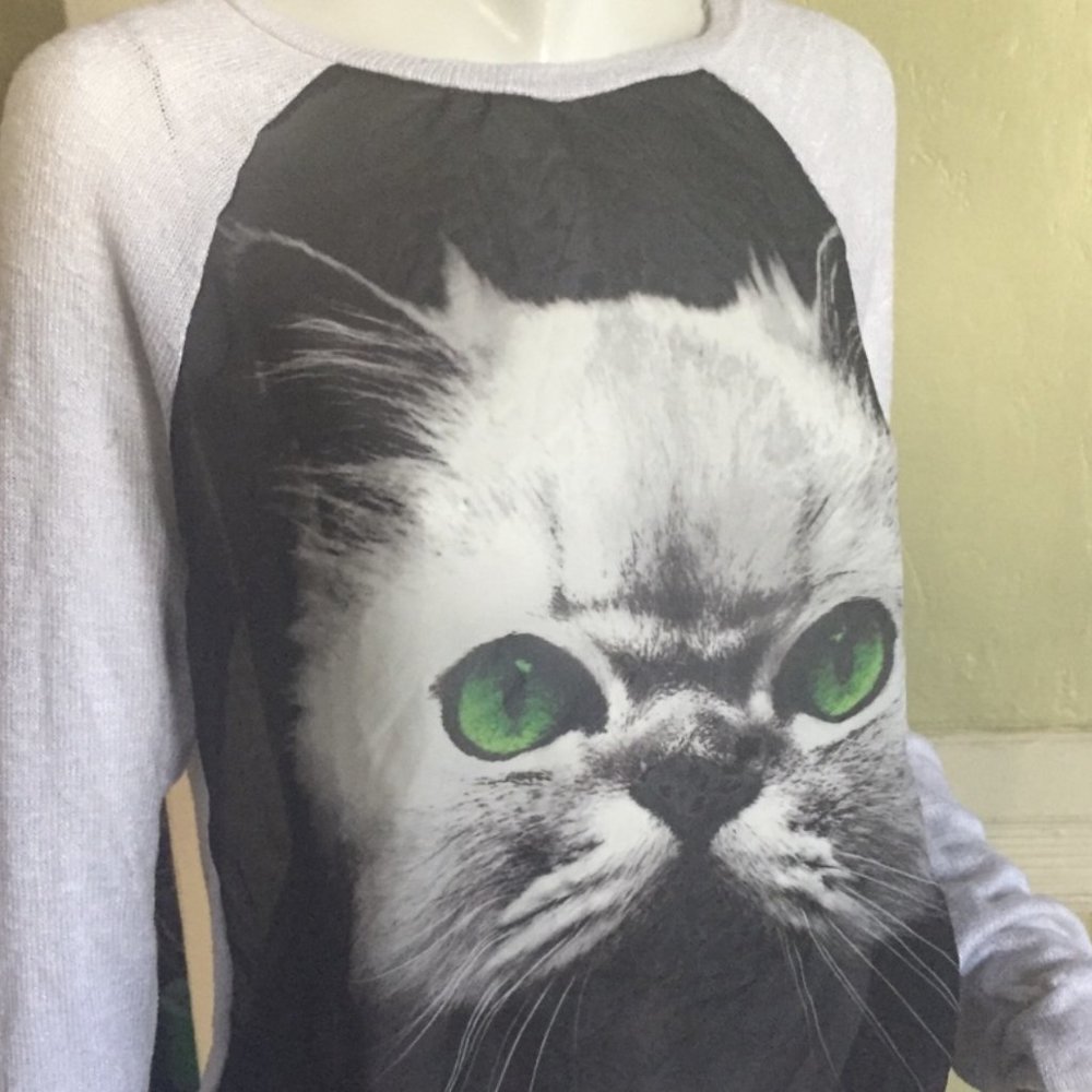 Penelope cat
